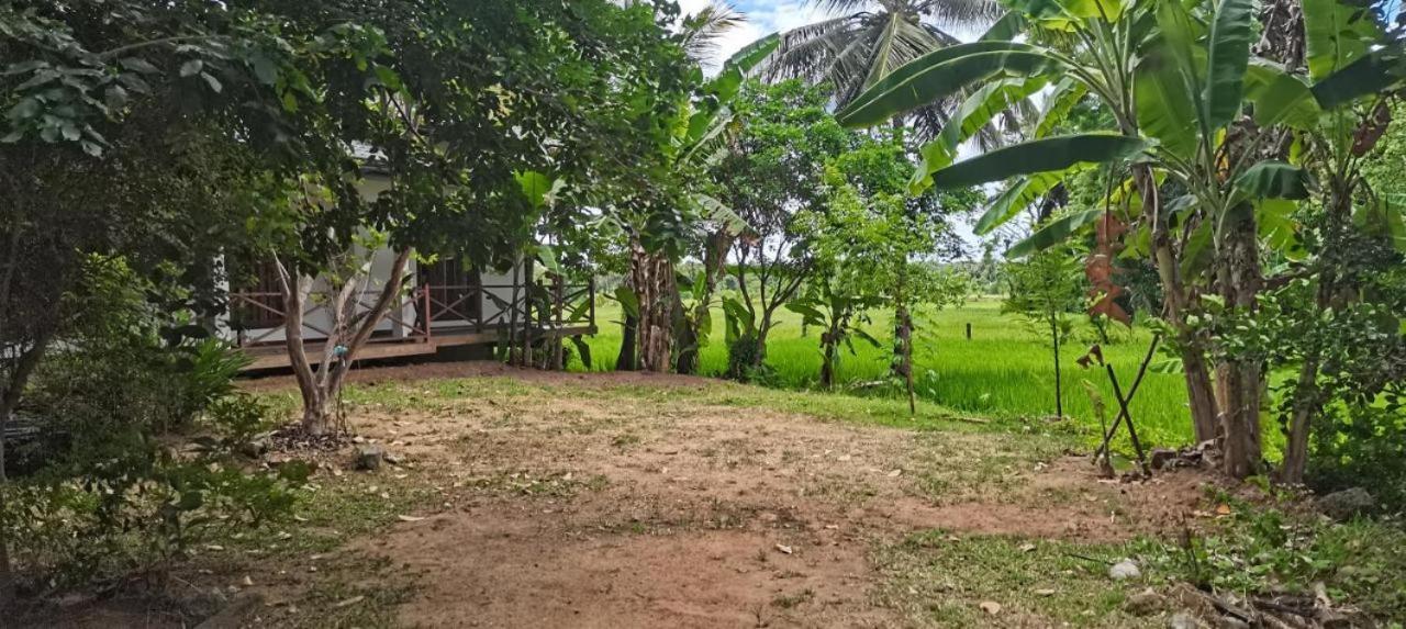 Anuradhapura Hotels Bagian luar foto