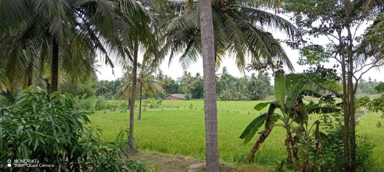 Anuradhapura Hotels Bagian luar foto