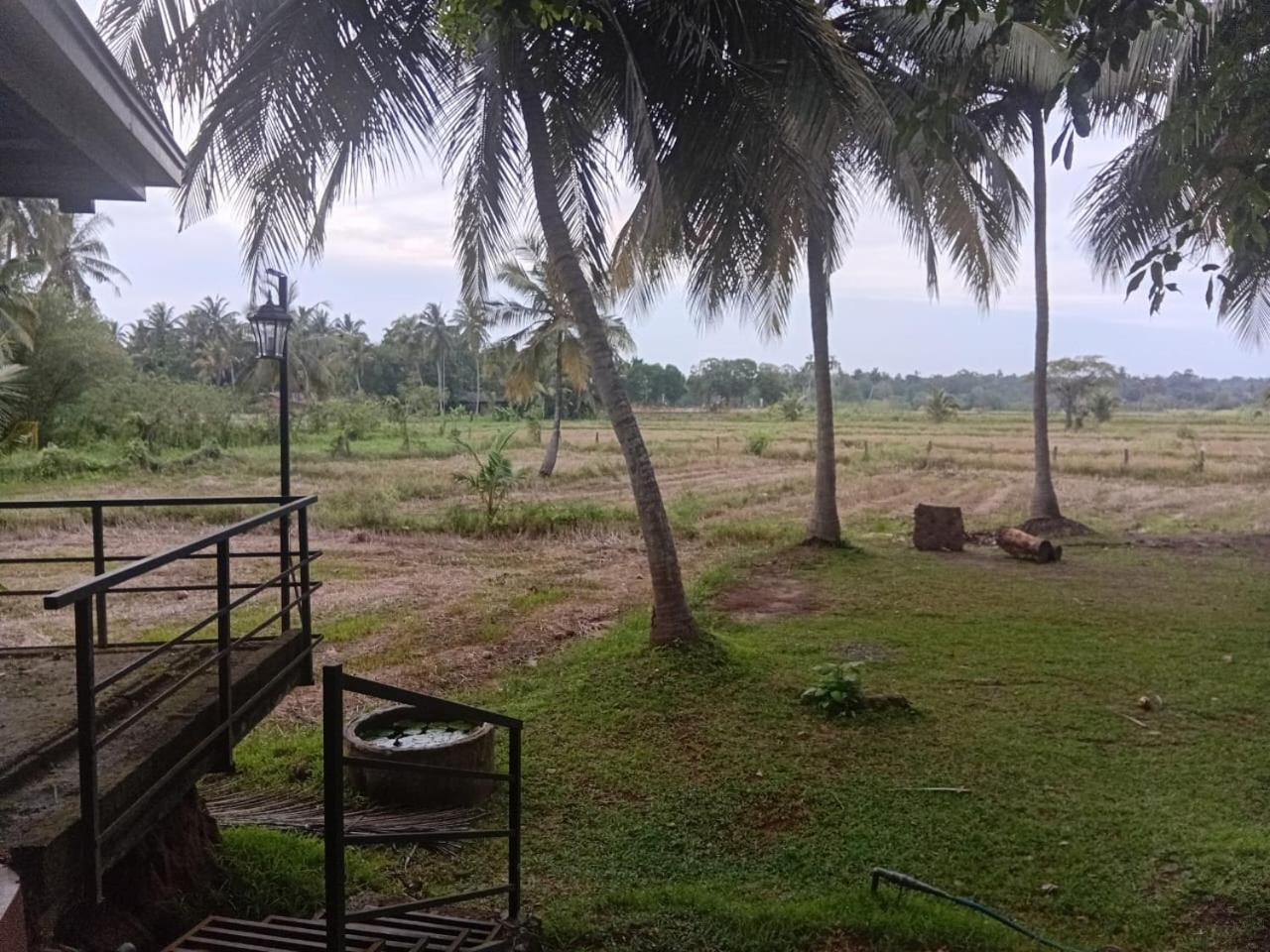 Anuradhapura Hotels Bagian luar foto