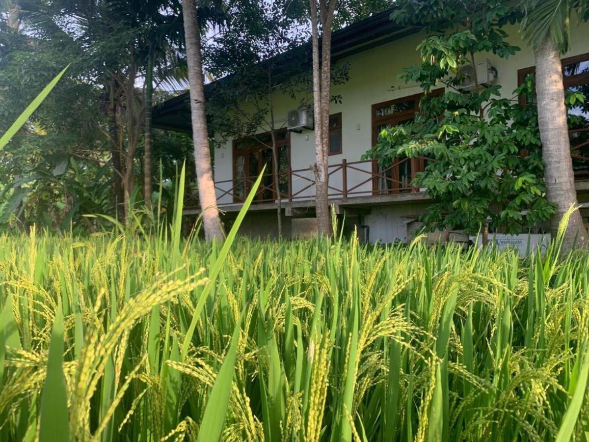 Anuradhapura Hotels Bagian luar foto